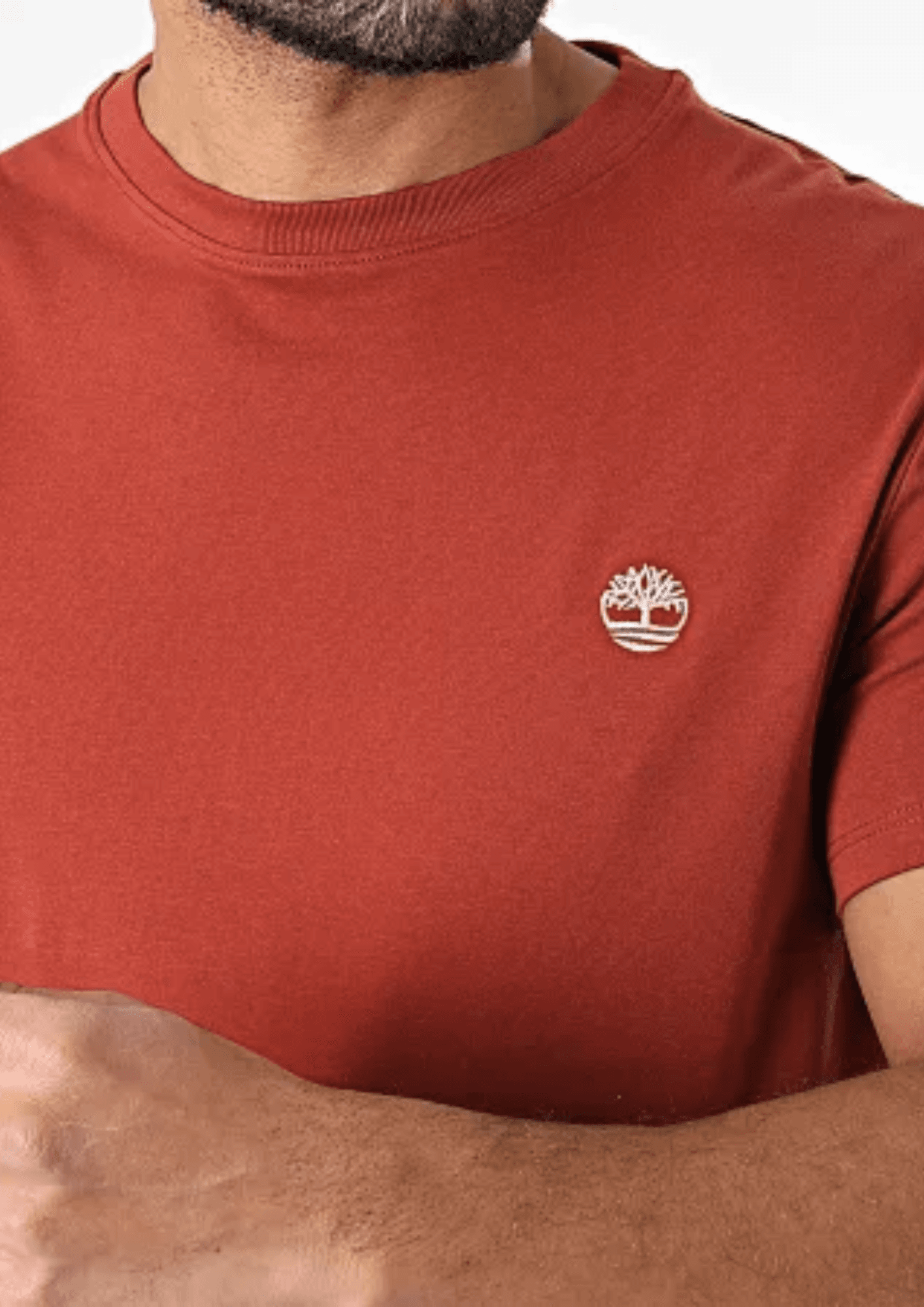 חולצה קצרה – תמונה 3