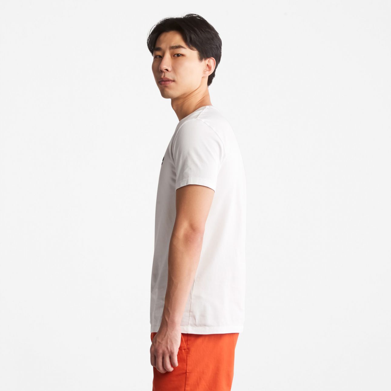 חולצה קצרה – תמונה 3