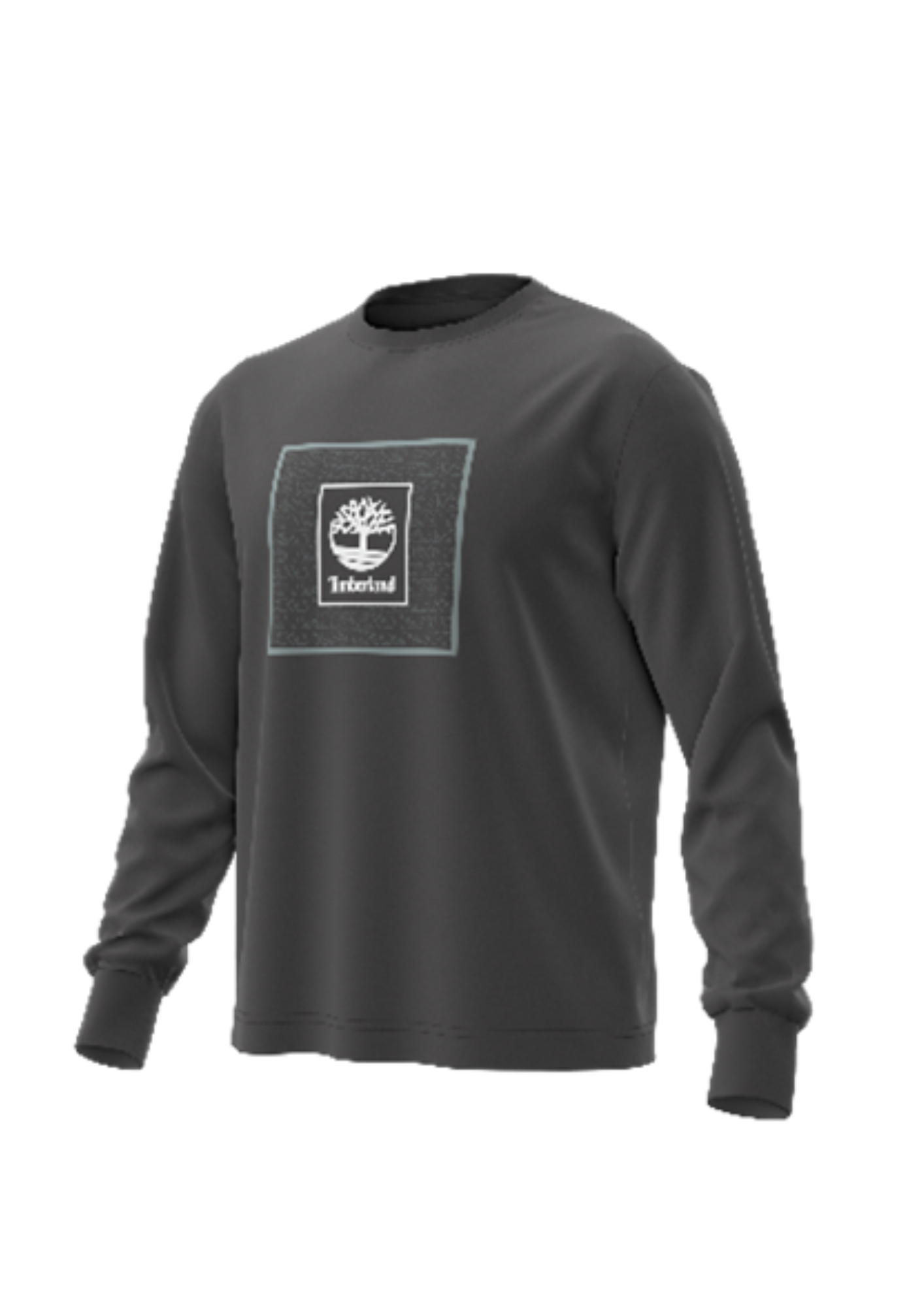 טי שירט ארוכה