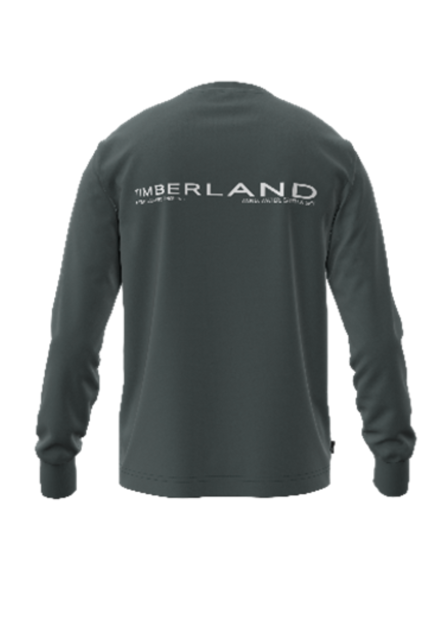 טי שירט ארוכה – תמונה 2